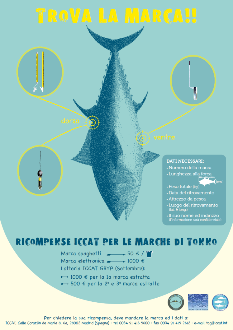 volantino ICCAT Awareness Activities