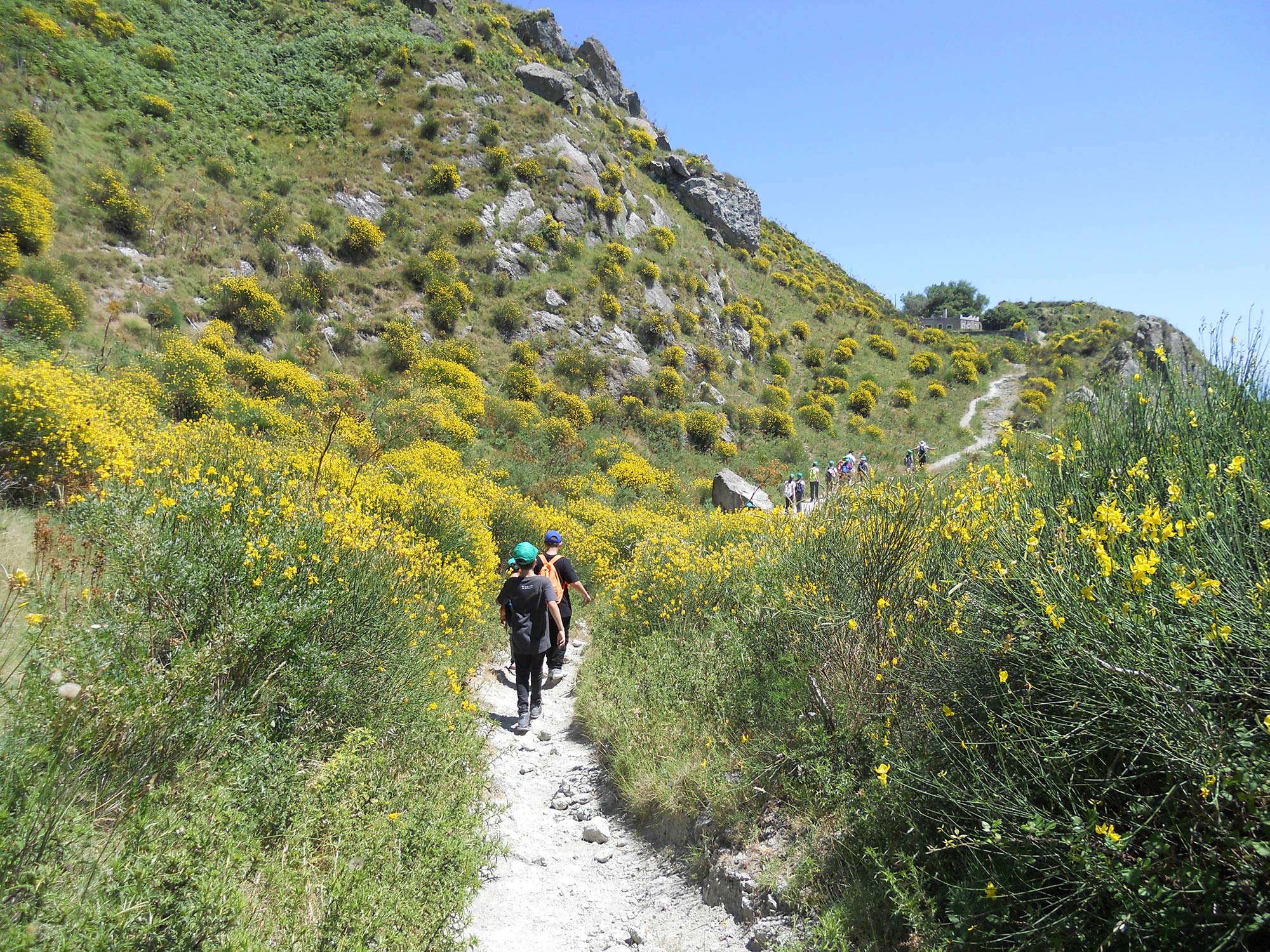 Trekking
